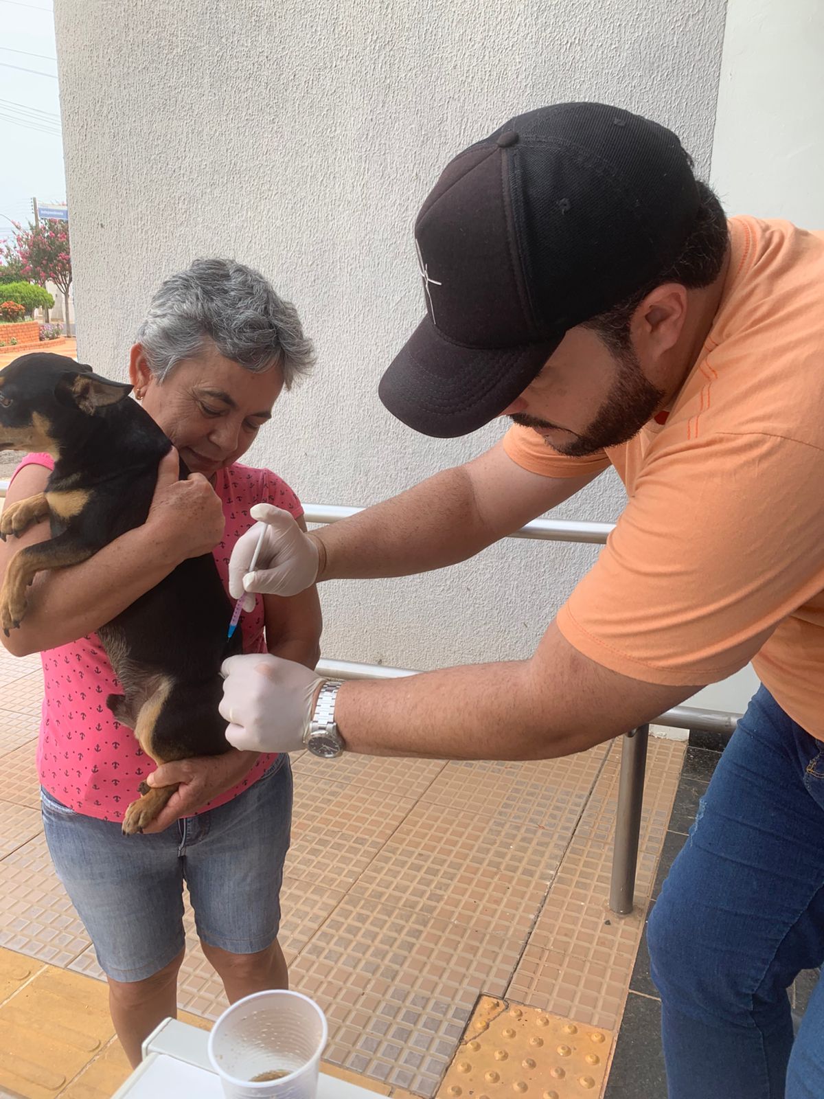 Mais de 130 animais são imunizados em nova etapa da Campanha Antirrábica